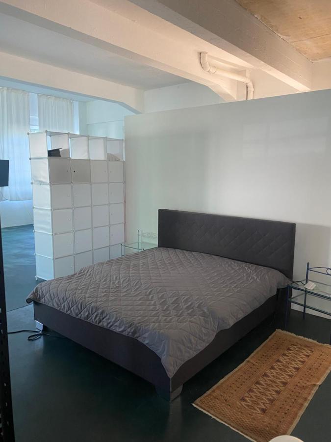 شقة Big One Event Loft Gastro Kitchen, 200Qm, Up To 8 Beds دريسدن المظهر الخارجي الصورة